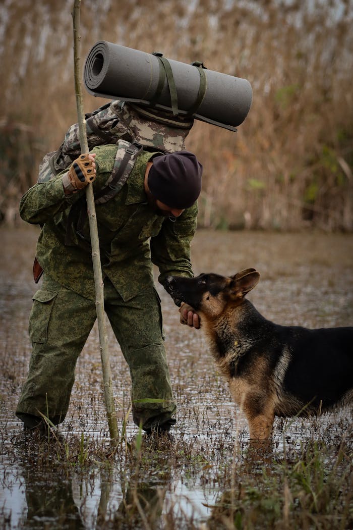 Services A man in camouflage with a German Shepherd on a swamp hike in Astara, showcasing adventure and companionship.